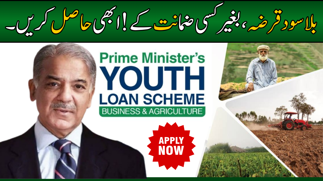 Loan Scheme