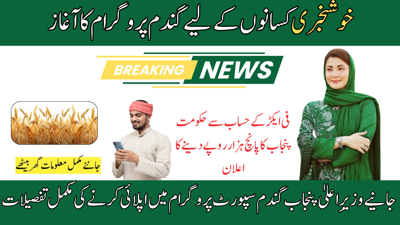 CM Punjab Wheat Support Scheme