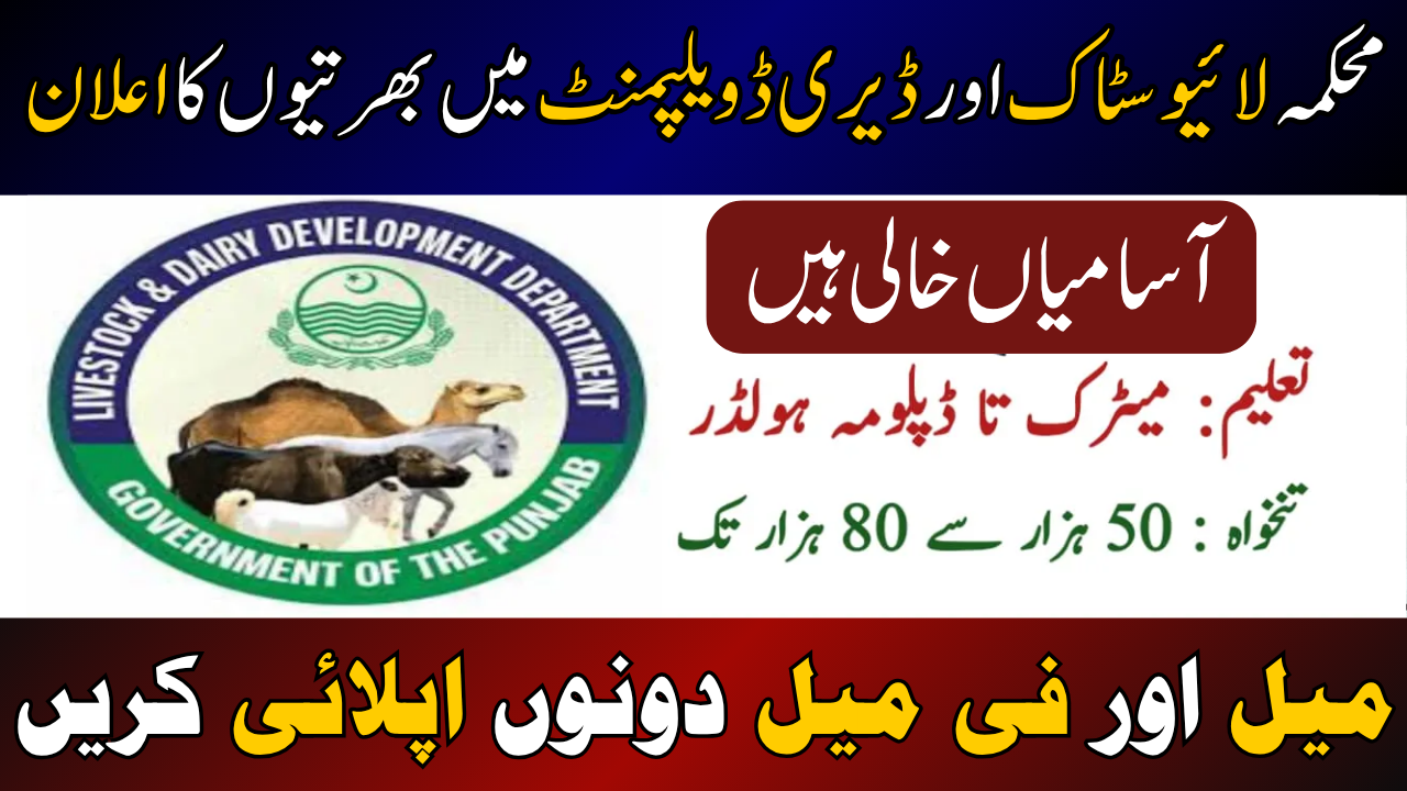 CM Punjab Paid Tourism Internship