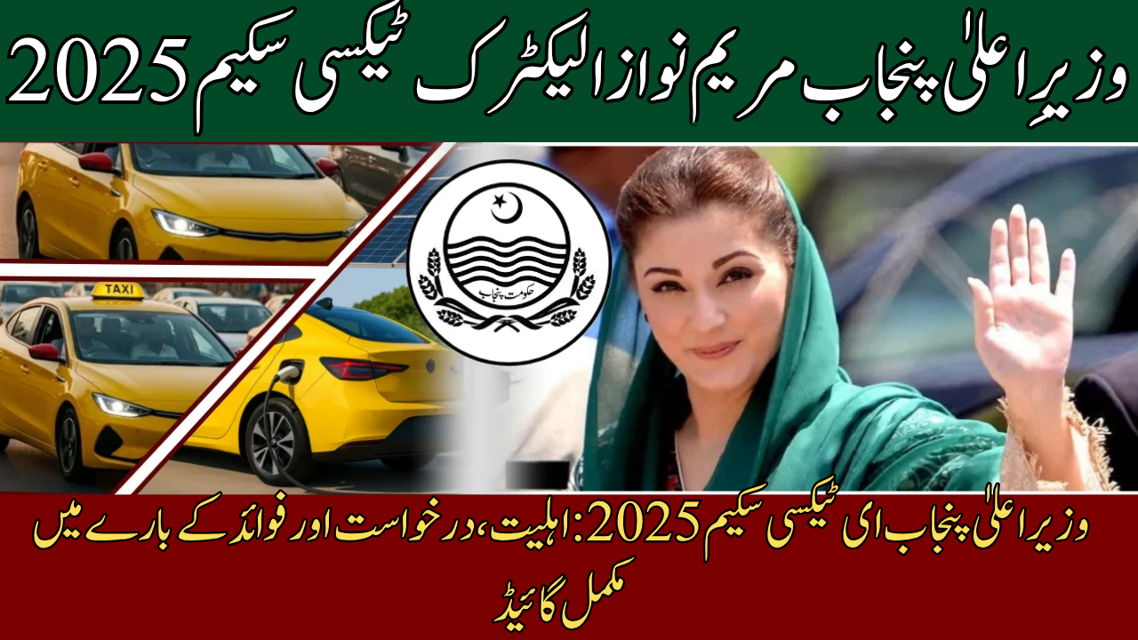 CM Punjab E-Taxi Scheme