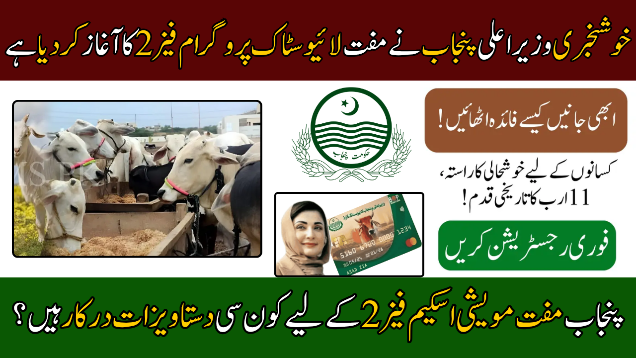 CM Punjab Free Livestock Program Phase 2