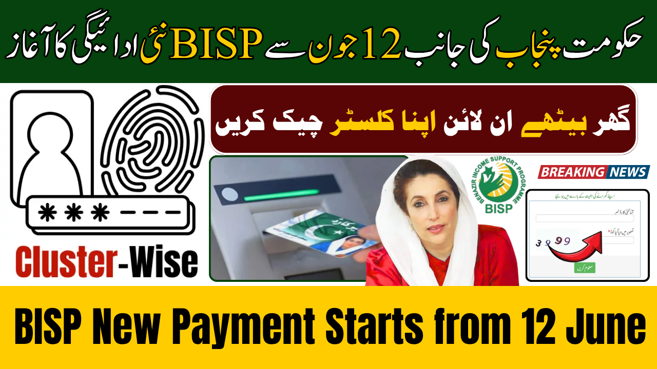 BISP New Payment