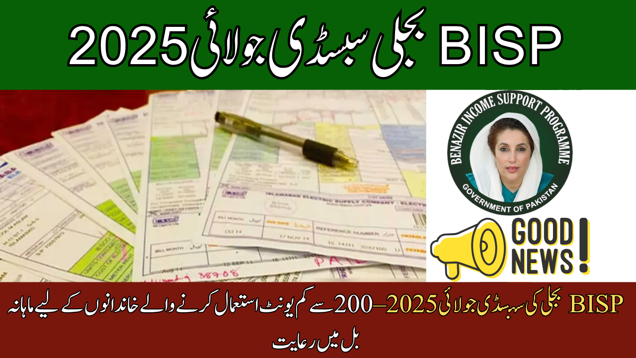 BISP Electricity Subsidy July