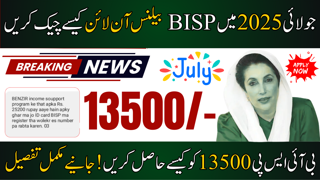 Check BISP Balance Online